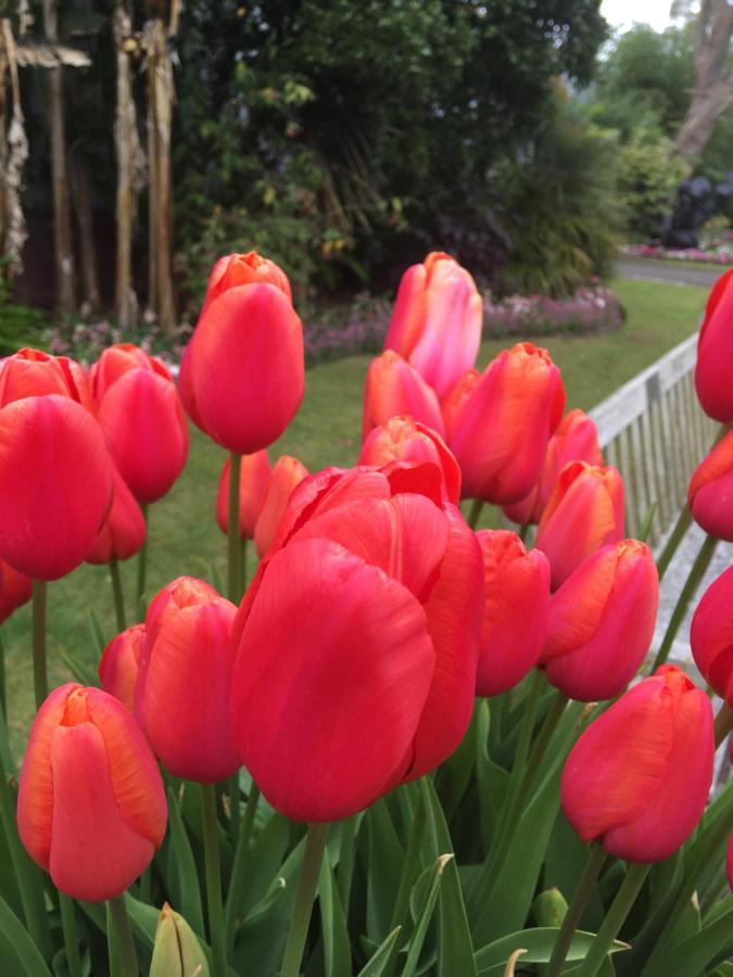 Wynberg House Bed & Breakfast Swansea Dış mekan fotoğraf