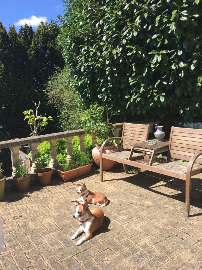 Wynberg House Bed & Breakfast Swansea Dış mekan fotoğraf